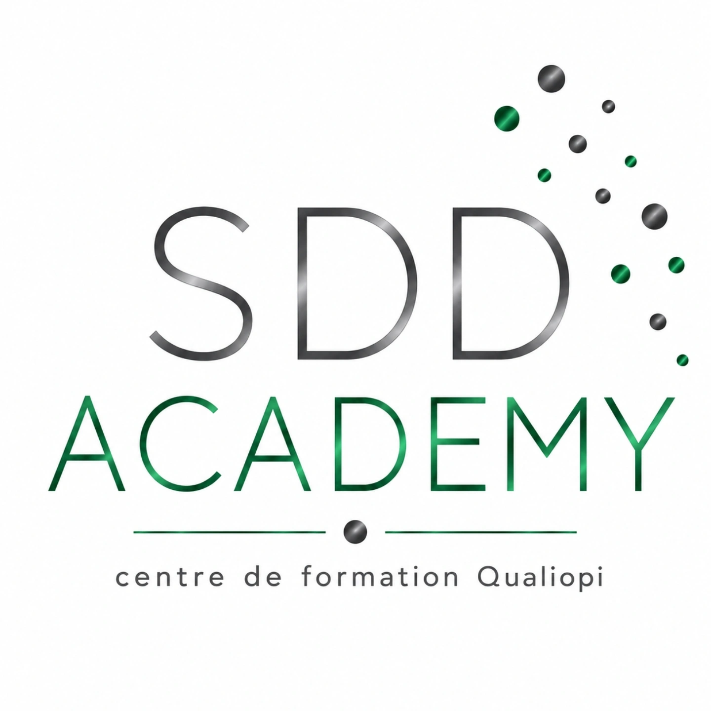 SDD Academy